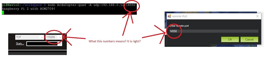 GCS do not connect with APM through TCP Flight stack Emlid